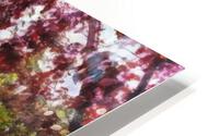 Beautiful Stairs  HD Metal print