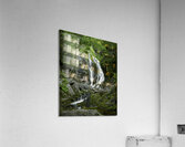3rd Vault falls Acrylic Print