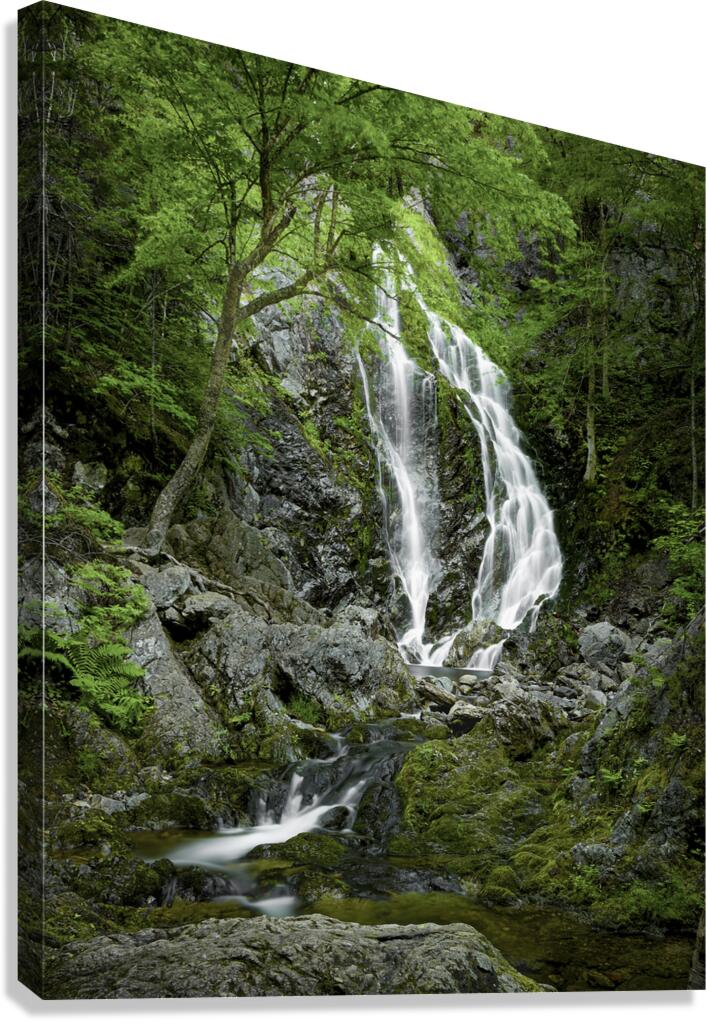 3rd Vault falls Canvas Print