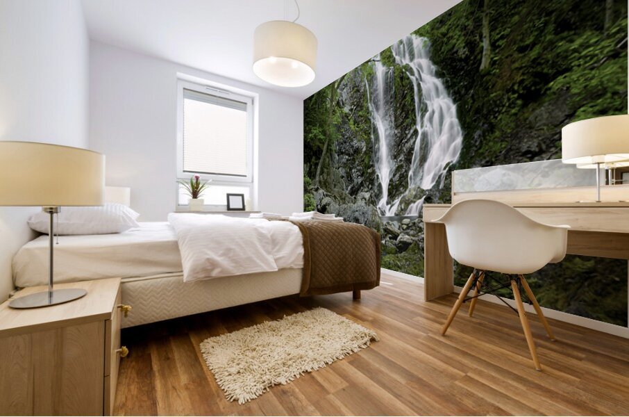 3rd Vault falls Mural print