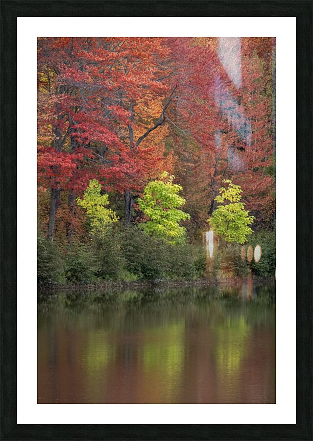Tree Sisters Picture Frame print