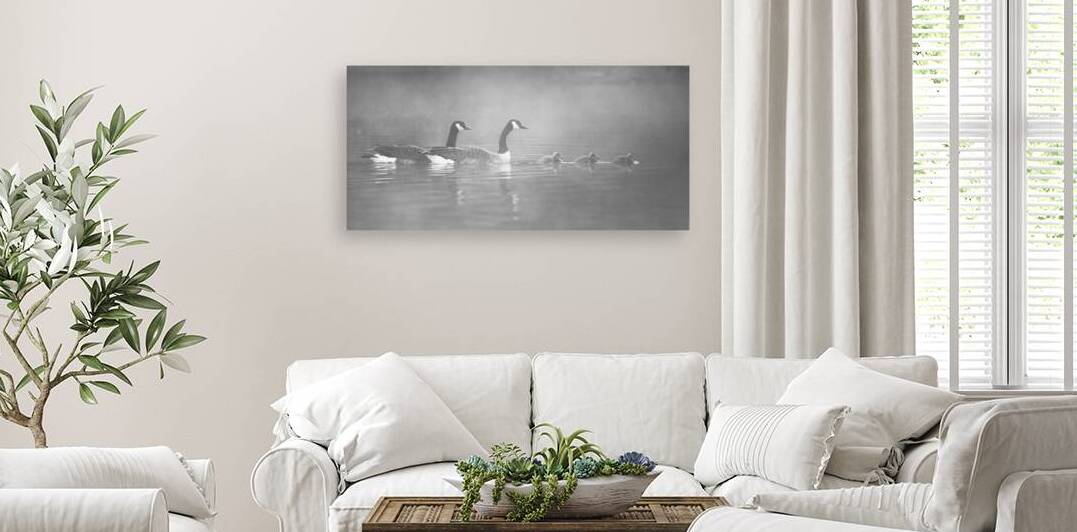 Canada Geese in the fog by Ben Gautreau Photography
