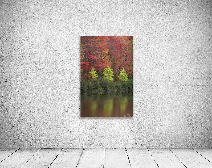 Tree Sisters Wall Preview