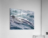 IMG 1396 Acrylic Print