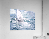 IMG 1399 Acrylic Print