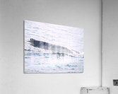 IMG 1407 Acrylic Print