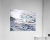 IMG 1395 Acrylic Print