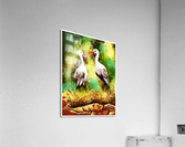 BIRD POTRAIT PAINTING Acrylic Print