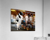 So It Does A Body Good... Acrylic Print