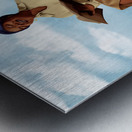 Phenomenal Woman  - Maya Angelou Metal print