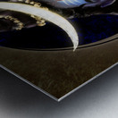 The First Yogi - Shiva Metal print