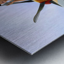 Lady Sings to Tuskegee Airmen - Lena Horne  Metal print