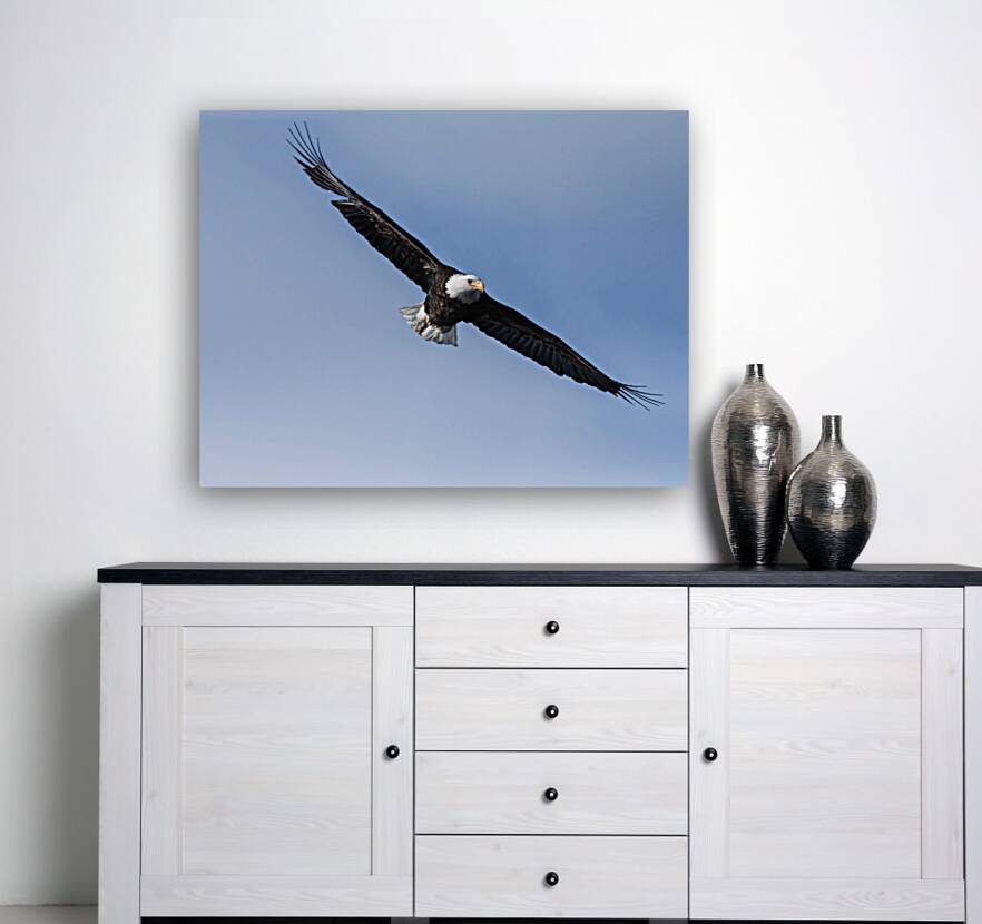 Eagle 13-3 Reproduction