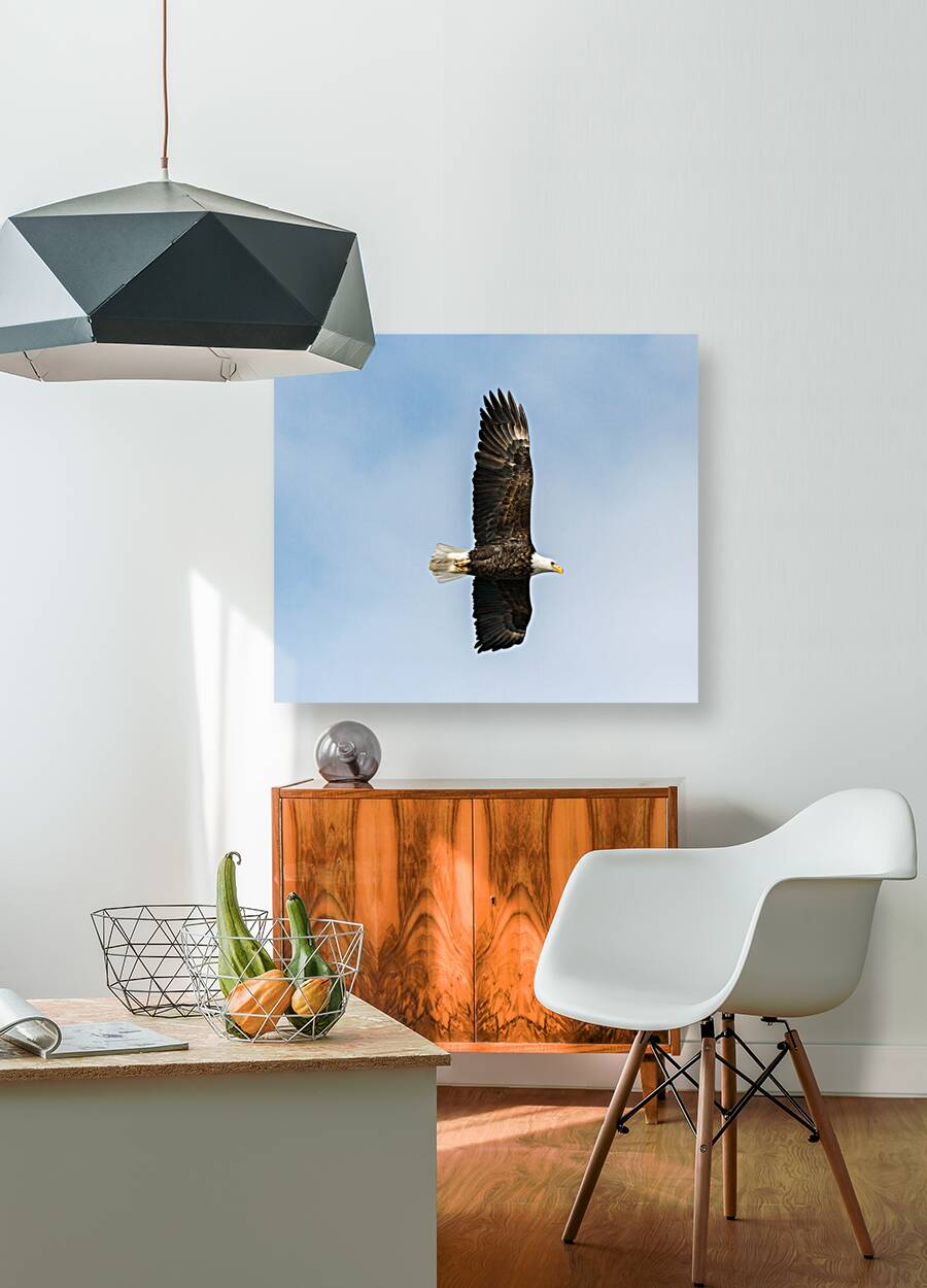 Eagle 13-4 Reproduction