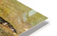 Alligators 22-1 HD Metal print