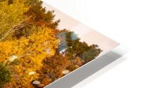 Fall Colors 8-1 HD Metal print