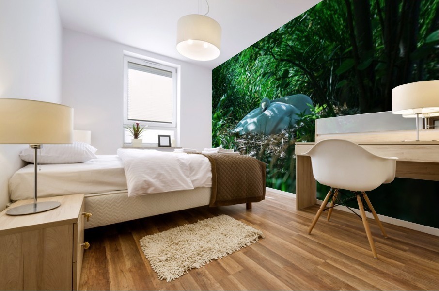 Resting Swan Mural print