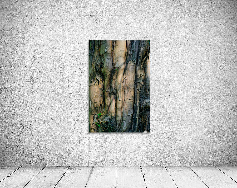 Barking Tree Wall Preview