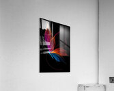 The Fire and Ice Butterfly Acrylic Print