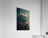 The Carnation Duet Acrylic Print