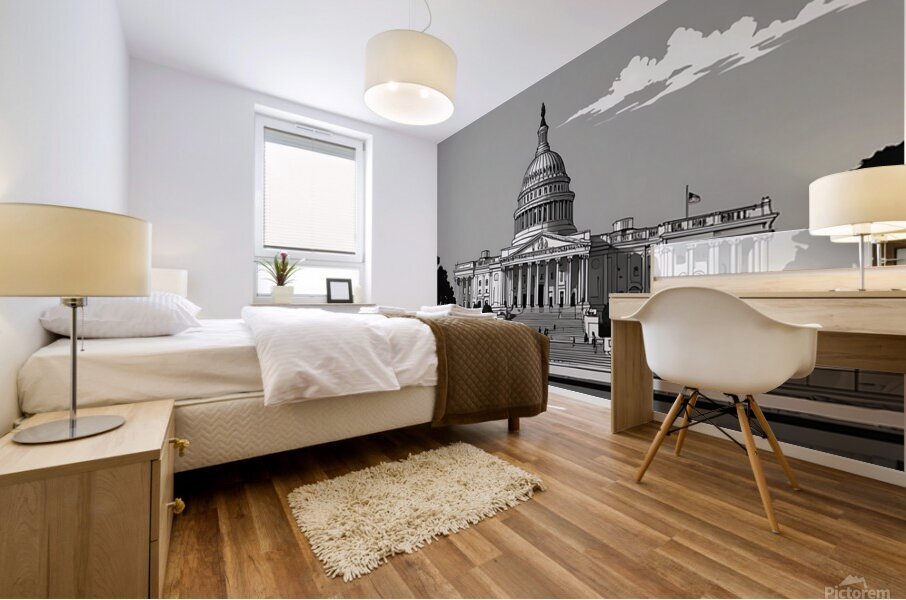 Washington Monochrome Mural print
