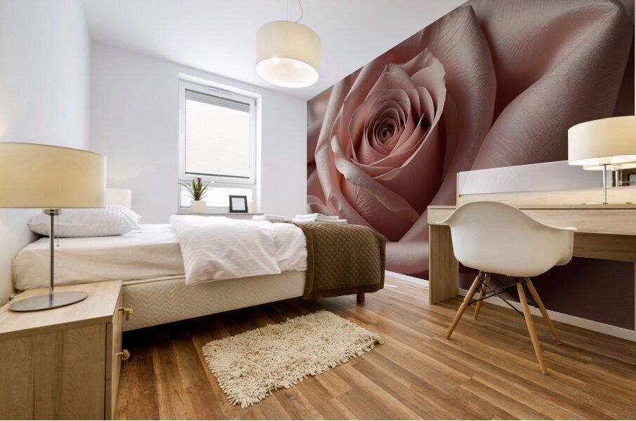 Velvet Rose Mural print