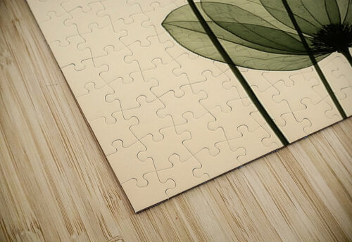 X-Ray Garden Roz art puzzle