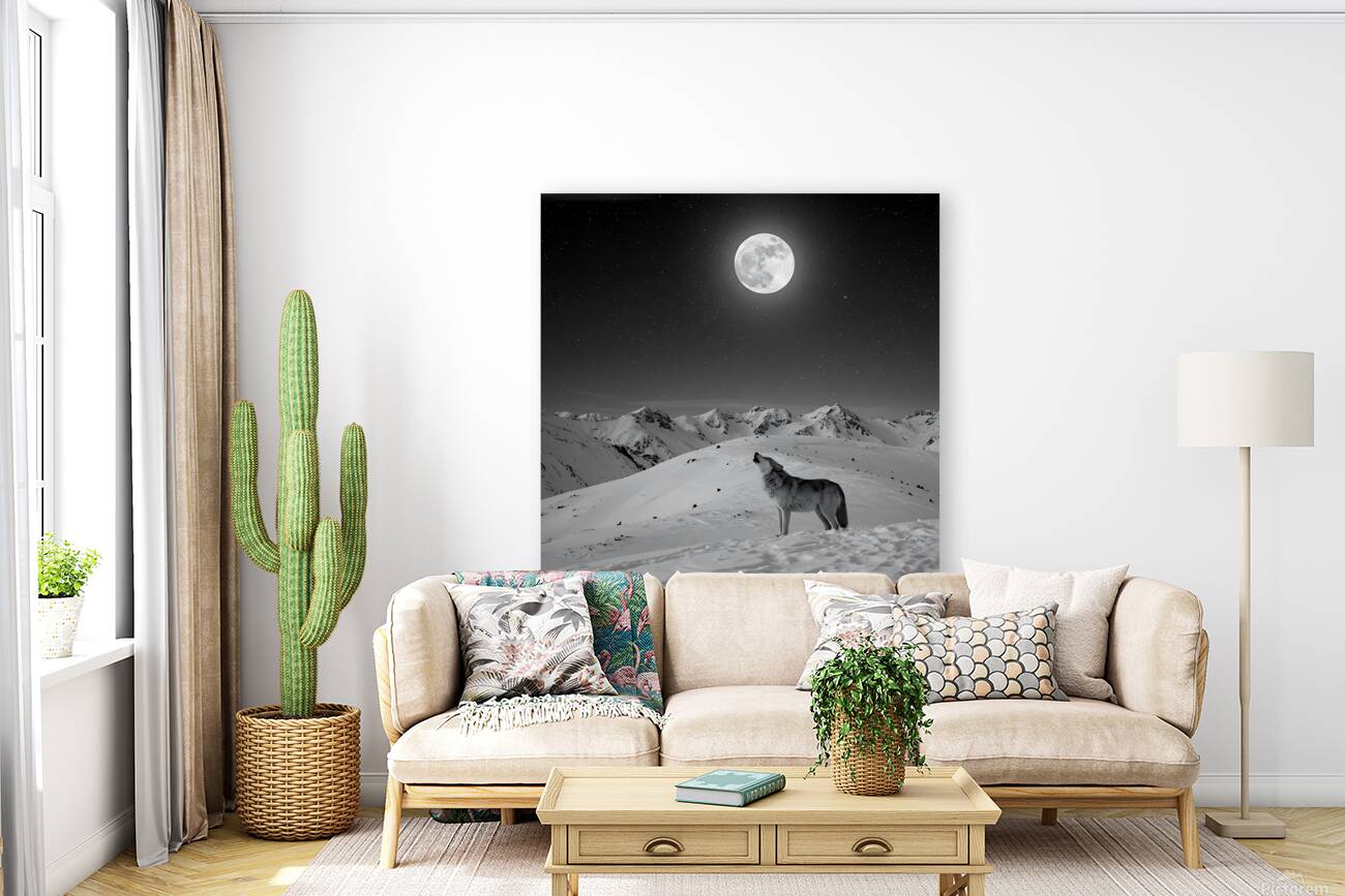 Midnight Howl Reproduction
