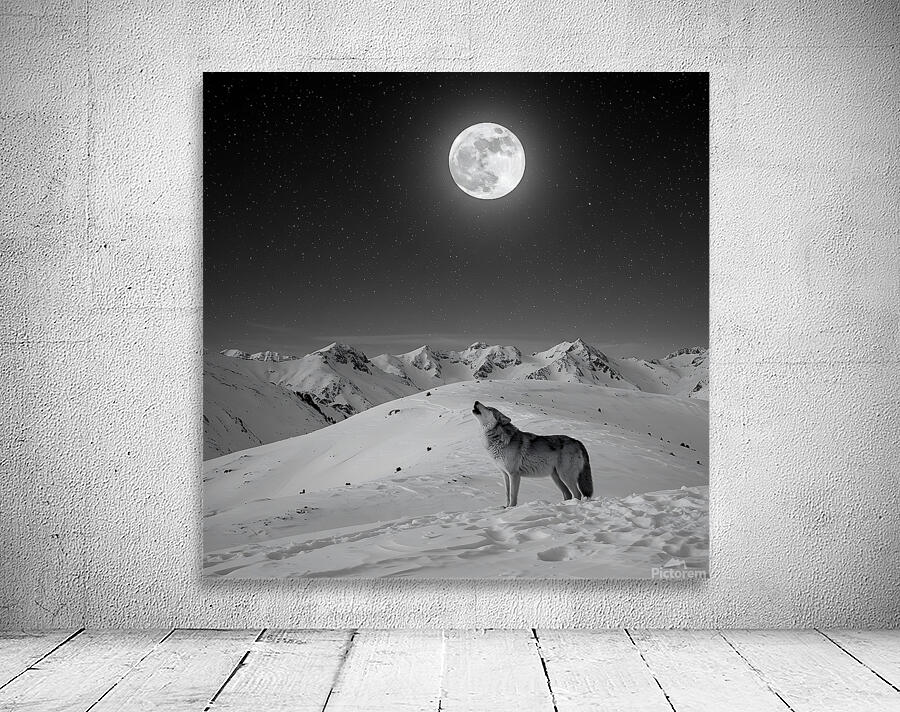 Midnight Howl Wall Preview