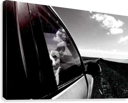 Travel Corgi Canvas Print