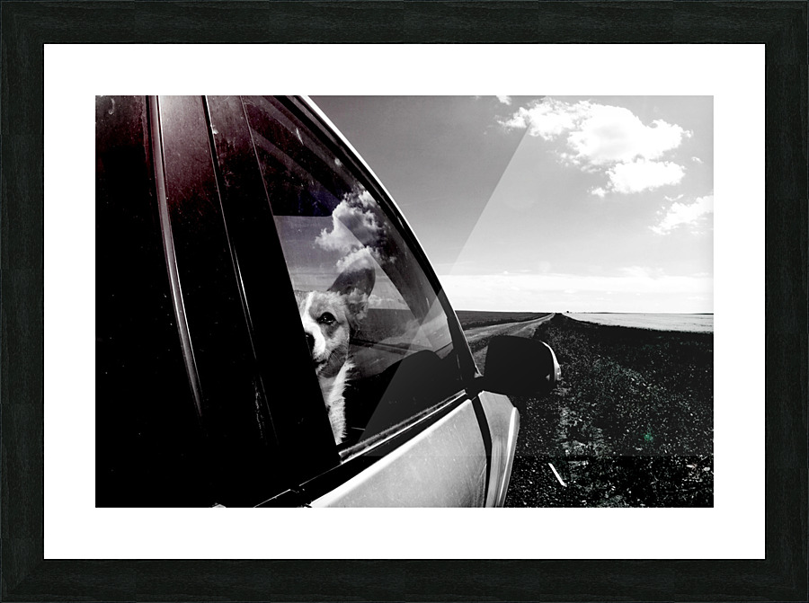 Travel Corgi Picture Frame print