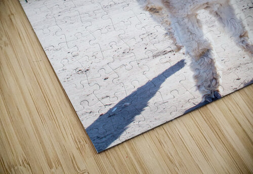Alpaca Days  M Kenitzer puzzle