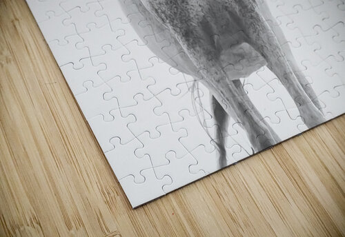 Be Strong M Kenitzer puzzle
