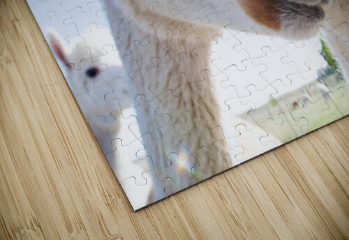 Close Up M Kenitzer puzzle
