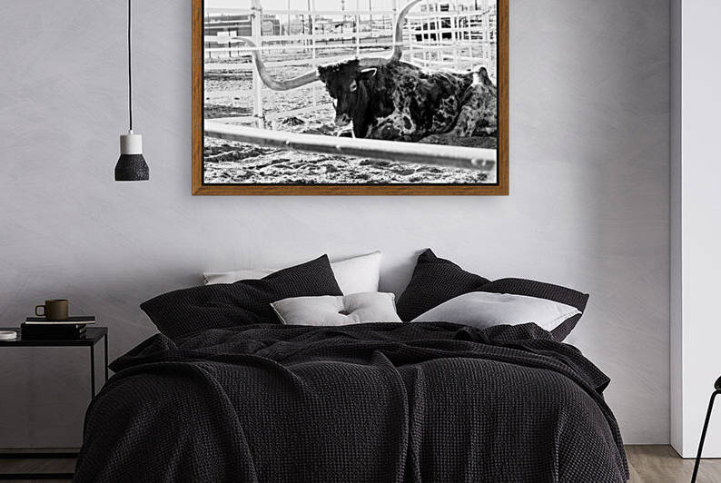 Rustic Longhorn resting  by M Kenitzer