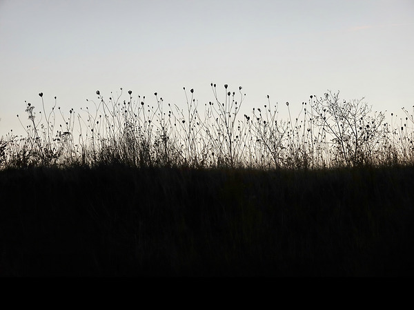 BW 6 Digital Download