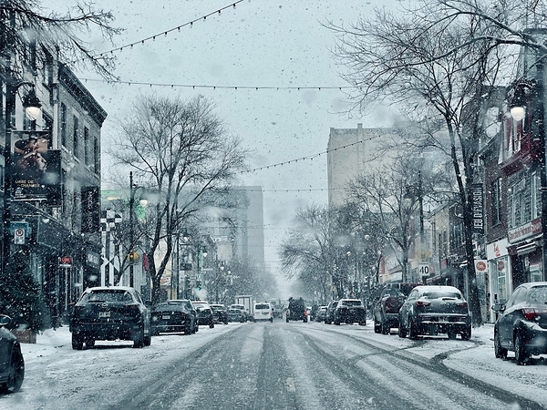 BW 13 Digital Download