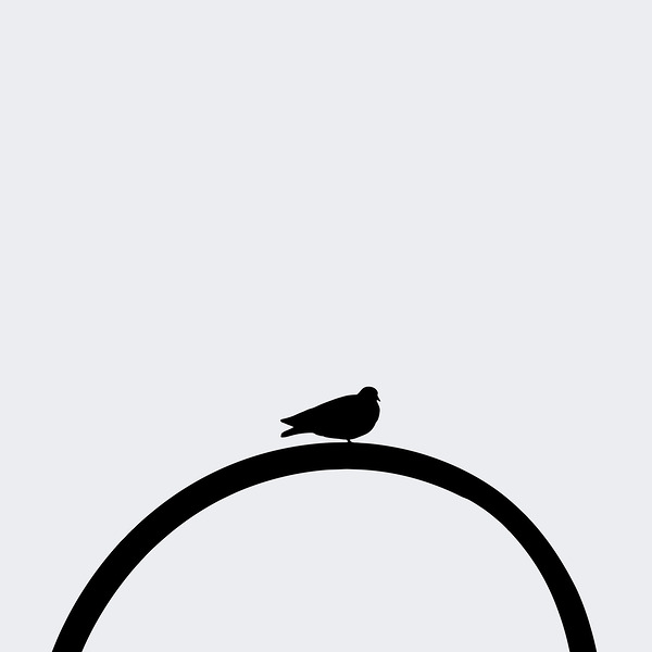 Minimalist Bird gris Digital Download