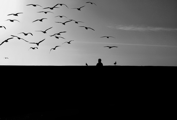 BW 21 Téléchargement Numérique