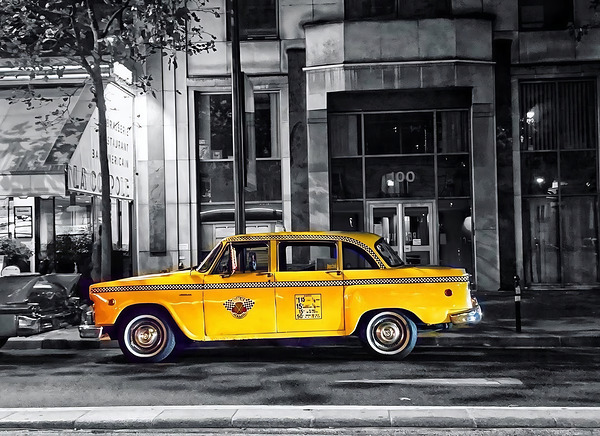 BW 23 Digital Download