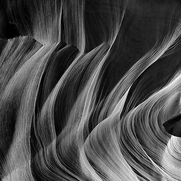 BW 29 Digital Download