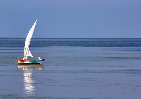 World11 Digital Download