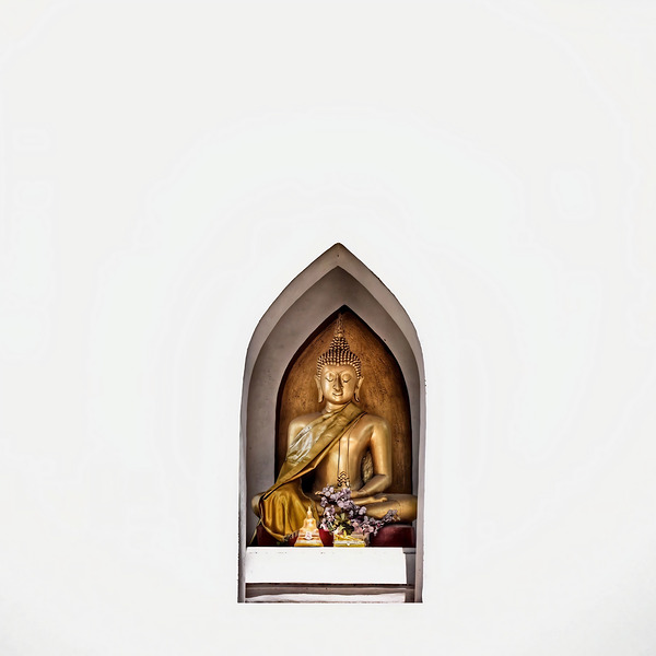 World8 Digital Download