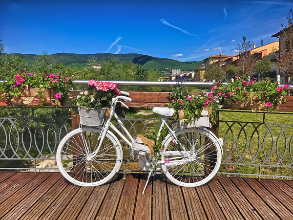 World4 Digital Download