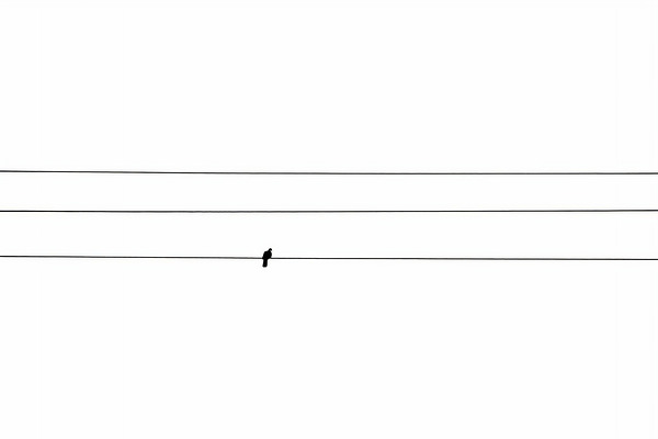 BW 17 Digital Download