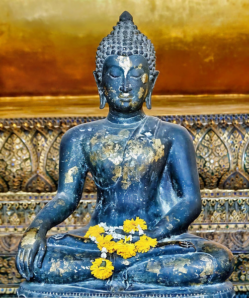 World15 Digital Download