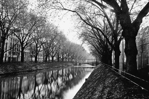 BW 16 Digital Download