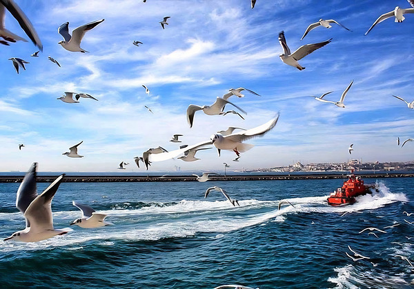 World13 Digital Download