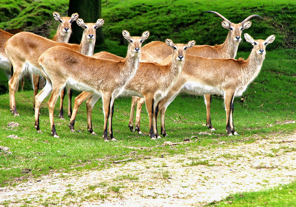 Look at me Digital Download