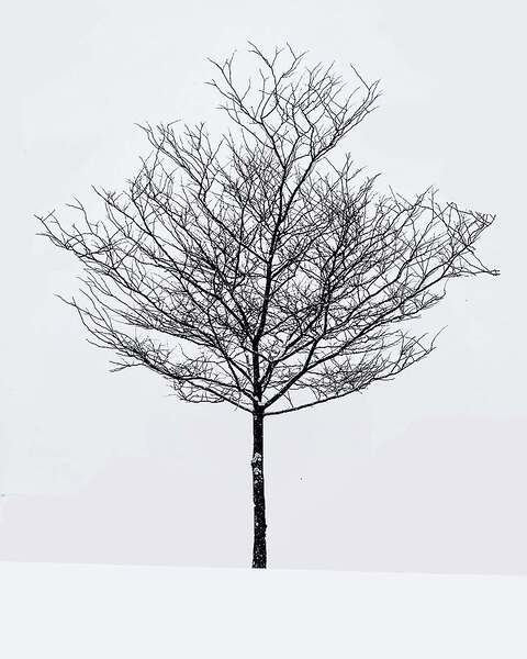 Snow white Digital Download